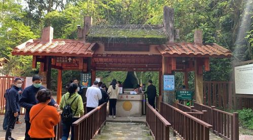 武夷山今天恢復開放 全國醫護人員免費,還有這些優惠政策